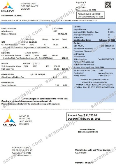 USA Tennessee MLGW utility bill template in Word and PDF format